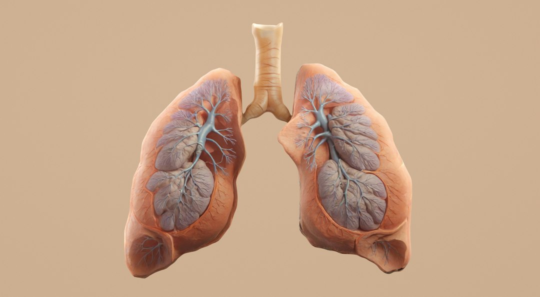 Phlegm in Lungs: Why It Won't Go Away and What Causes Buildup